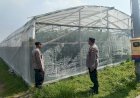 Bhabinkamtibmas-Desa-Kraton-Tinjau-Lahan-Hidroponik-Melon-untuk-Ketahanan-Pangan-Bergizi