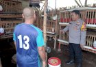 Tinjau-Pekarangan-Unggas,-Polsek-Tulangan-Optimalkan-Ketahanan-Pangan-Bergizi-Lewat-P2B-di-Desa-Kepunten