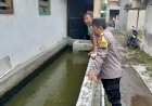 Bhabinkamtibmas-Jambangan-Candi-Cek-Budidaya-Lele-di-Pekarangan-Rumah-Warga