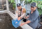 Bhabinkamtibmas-Cek-Kolam-Ikan-di-Desa-Ketajen,-Ajak-Warga-Sukseskan-Ketahanan-Pangan