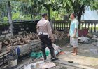 Dukung-Asta-Cita-Prabowo,-Polsek-Tarik-Dorong-Ketahanan-Pangan-Desa-Kramat-Temenggung