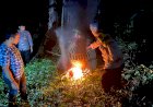 Polres-Malang-Kembali-Bongkar-Lokasi-Judi-Sabung-Ayam-di-Sumberpucung