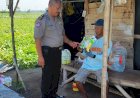 Polsek-Tanggulangin-Dampingi-Petani-Jagung-Hibrida