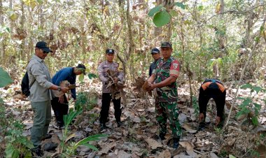 Laksanakan-Patroli,-Sinergitas-Polresta-Banyuwangi-bersama-TNI-dan-Perhutani-Cegah-Karhutla