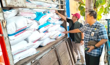 Polres-Situbondo-Amankan-3-Orang-Diduga-Selundupkan-8,9-Ton-Pupuk-Bersubsidi-Tujuan-Jawa-Tengah