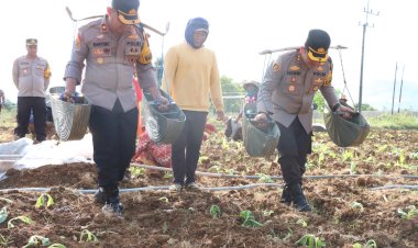 Polres-Sumenep-Dukung-Peningkatan-Ekonomi-Petani-Melalui-Kegiatan-Menanam-Tembakau-Bersama-Masyarakat