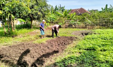 Bhabinkamtibmas-Desa-Jiken-Tulangan-Pastikan-Optimalisasi-Pengolahan-Lahan-Pangan-Bergizi
