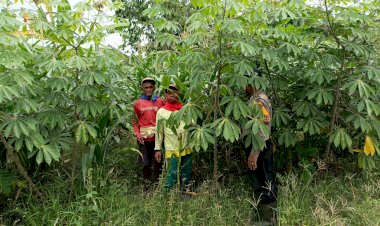 Dukung-Ketahanan-Pangan,-Polsek-Balongbendo-Masif-Turun-ke-Warga