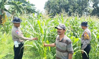 Kapolsek-Balongbendo-Berikan-Pendampingan-untuk-Swasembada-Pangan-Mandiri-di-Desa-Penambangan