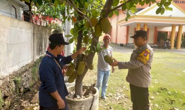 Menggoda-Perhatian,-Warga-Pekarungan-Sukodono-Gelorakan-Ketahanan-Pangan-dengan-Tanam-Cempedak-dan-Nangka