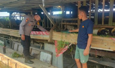 Dukung-Ketahanan-Pangan-Nasional,-Polsek-Taman-Sambang-Desa-ke-Peternak-Kambing