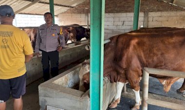 Bhabinkamtibmas-Karangtanjung-Dampingi-Warga-Penggerak-Ketahanan-Pangan-Ternak-Sapi