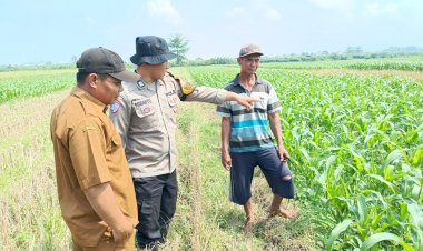 Polsek-Balongbendo-Dukung-Ketahanan-Pangan-Bergizi-di-Desa-Sumokembangsri